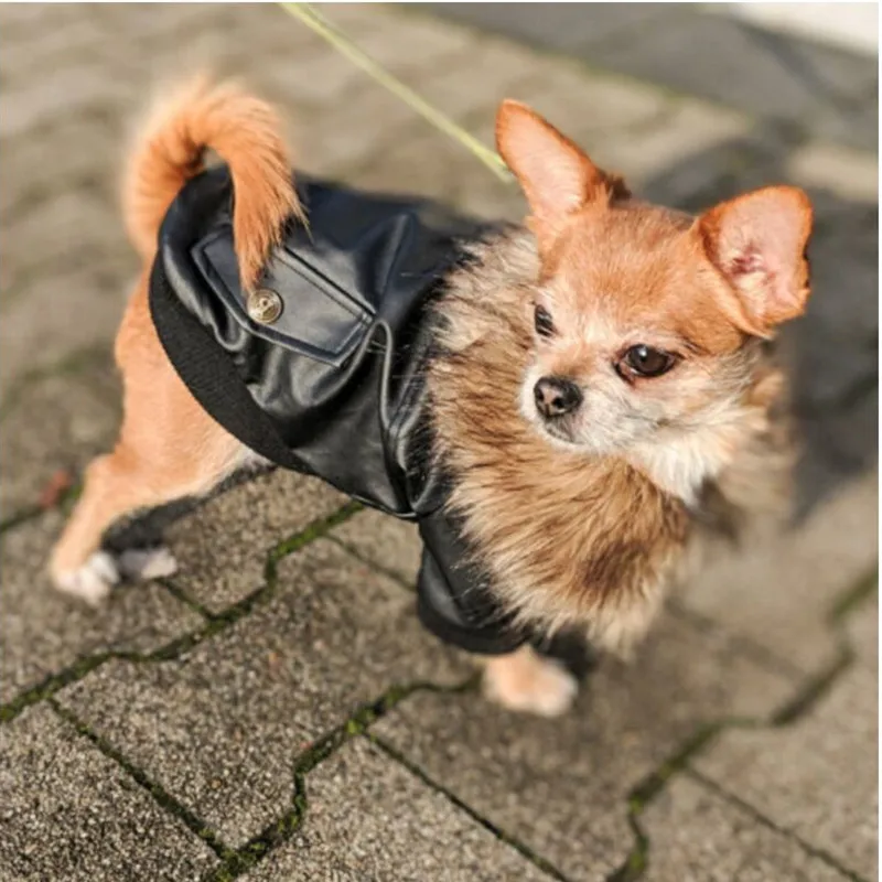 Теплая одежда для маленьких собак зимнее пальто куртка наряды щенков чихуахуа