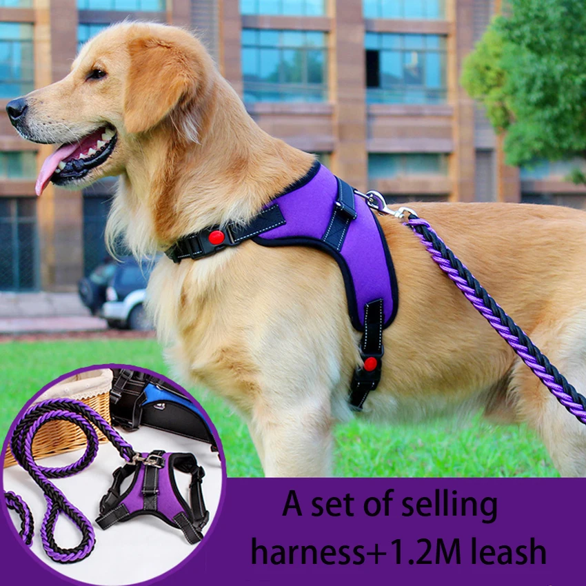Reflective Dog Harness Leash Set Pet Dog Lead Adjustable Vest Harnesses for Small Meduim Large Dogs Training Walking Perfect
Reflective Dog Harness Leash Set Pet Dog Lead Adjustable Vest Harnesses for Small Meduim Large Dogs Training Walking Perfect