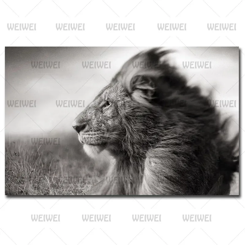Animal Painting Poster Gray Lion Home Wall Canvas Painting Home Decoration for Bedroom Living Room Frameless Style
Animal Painting Poster Gray Lion Home Wall Canvas Painting Home Decoration for Bedroom Living Room Frameless Style