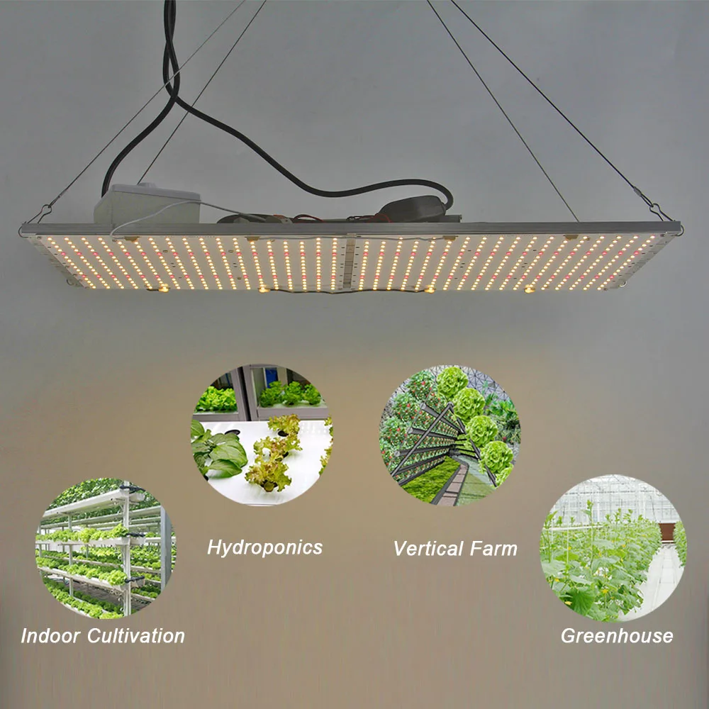 SUMSUNG qb288 v3 lm301b+mean well 660nm+UV+IR Samsung 240w quantum board for garden greenhouse
SUMSUNG qb288 v3 lm301b+mean well 660nm+UV+IR Samsung 240w quantum board for garden greenhouse