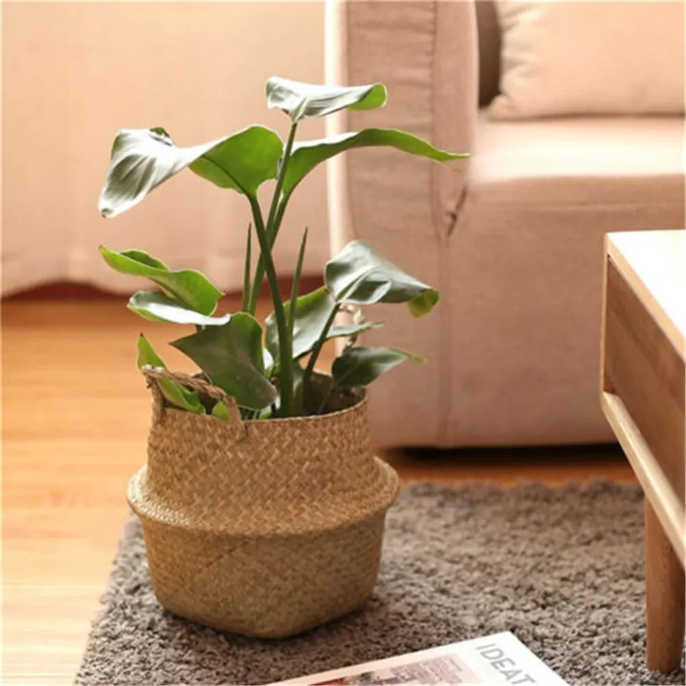 Household Storage Foldable Natural Seagrass Woven Storage Basket Pot Garden Flower Vase Hanging Wicker Basket Bellied Baskets
Household Storage Foldable Natural Seagrass Woven Storage Basket Pot Garden Flower Vase Hanging Wicker Basket Bellied Baskets