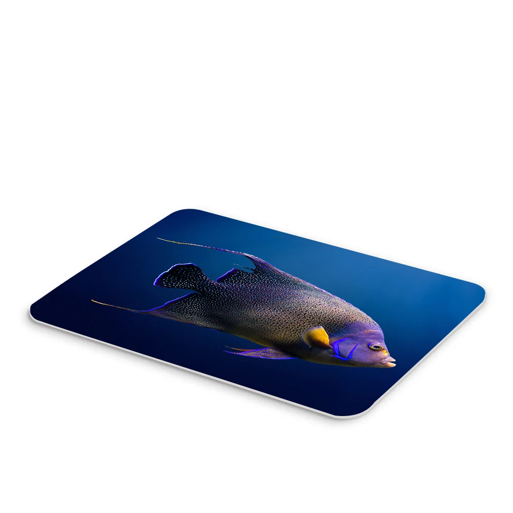 Ocean Goldfish Bathroom Anti-slip Mats Toilet Foot Mats Kitchen Mat Toilet Floor Mat Shark Pattern Soft Square
Ocean Goldfish Bathroom Anti-slip Mats Toilet Foot Mats Kitchen Mat Toilet Floor Mat Shark Pattern Soft Square