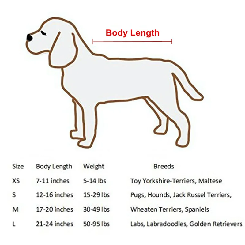 Dog dryer accessories with hair dryer drying kit, small, medium and large dogs can quickly and easily dry the dog kit bath DG001
Dog dryer accessories with hair dryer drying kit, small, medium and large dogs can quickly and easily dry the dog kit bath DG001