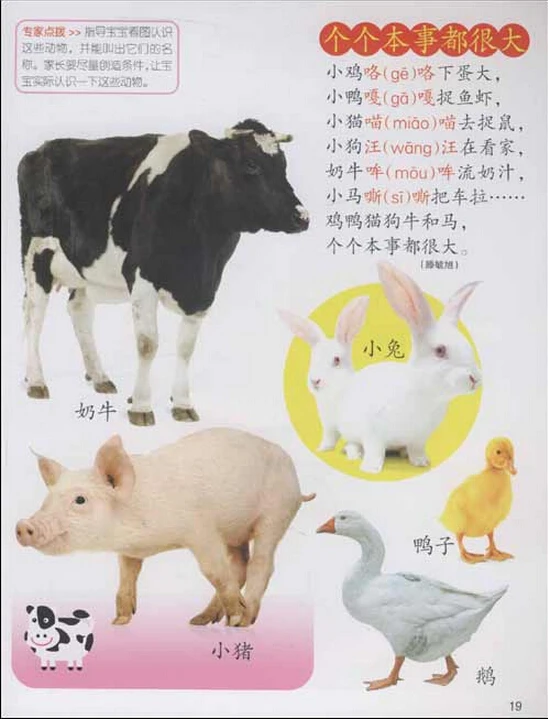 Книга со сказками китайского языка для детей в возрасте 1 года детская книга