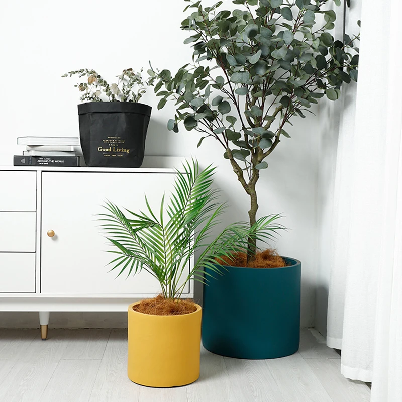 bonsai tree Nordic Industrial Style Colorful Ceramic Flowerpot Succulent Planter Green Plants plantas artificiales
bonsai tree Nordic Industrial Style Colorful Ceramic Flowerpot Succulent Planter Green Plants plantas artificiales