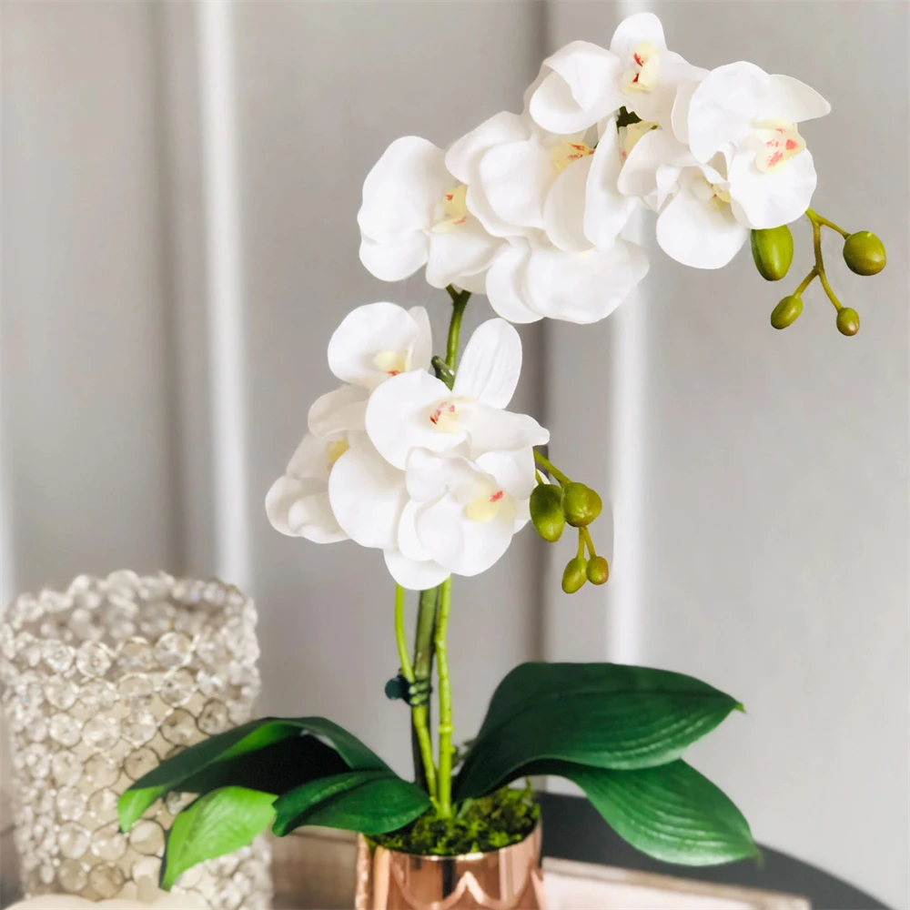 3 Heads Mini Butterfly Orchid With Leaves Artificial Flowers Artificial Phalaenopsis Silk Fake Flowers Plants Home Decoration
3 Heads Mini Butterfly Orchid With Leaves Artificial Flowers Artificial Phalaenopsis Silk Fake Flowers Plants Home Decoration