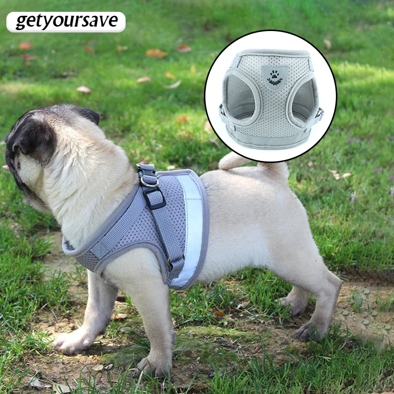 Walking Dog Harness Adjustable Luminous Dog Collar Small Medium Dogs Harness Breathable Vest-style Collar for Cats Puppy Leash
Walking Dog Harness Adjustable Luminous Dog Collar Small Medium Dogs Harness Breathable Vest-style Collar for Cats Puppy Leash
