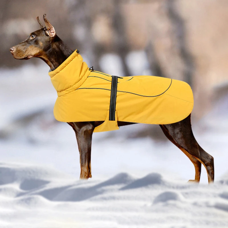 Waterproof Large Dog Clothes Winter Warm big Dog Coat Jacket Comfortable Reflective Dog Clothing For Small Medium big Dogs
Waterproof Large Dog Clothes Winter Warm big Dog Coat Jacket Comfortable Reflective Dog Clothing For Small Medium big Dogs