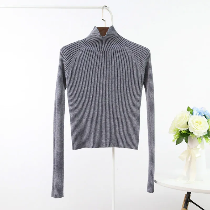 European and American new autumn high-neck slim women's bottoming shirt fashion trend all-match ladies pullover top
European and American new autumn high-neck slim women's bottoming shirt fashion trend all-match ladies pullover top