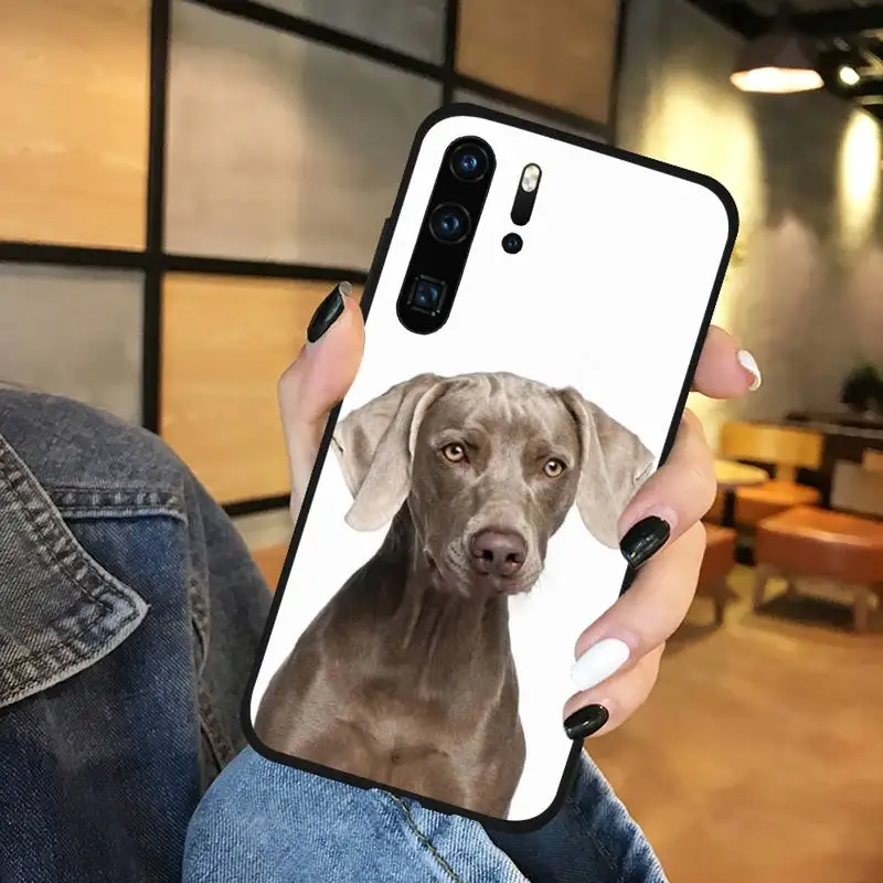 Dachshund Silhouette Dog Phone Case Funda For Huawei P9 P10 P20 P30 Lite 2016 2017 2019 plus pro P smart
Dachshund Silhouette Dog Phone Case Funda For Huawei P9 P10 P20 P30 Lite 2016 2017 2019 plus pro P smart