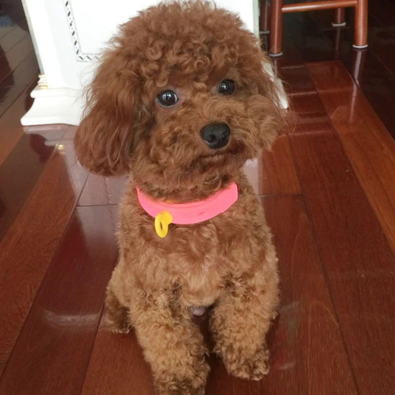 Pet Supplies Pink Pet Deworming Collar Adjustable Pet Dog Collar Pet Dog Cat Anti Flea Tick Flea Collar Mosquito Insect Collar
Pet Supplies Pink Pet Deworming Collar Adjustable Pet Dog Collar Pet Dog Cat Anti Flea Tick Flea Collar Mosquito Insect Collar