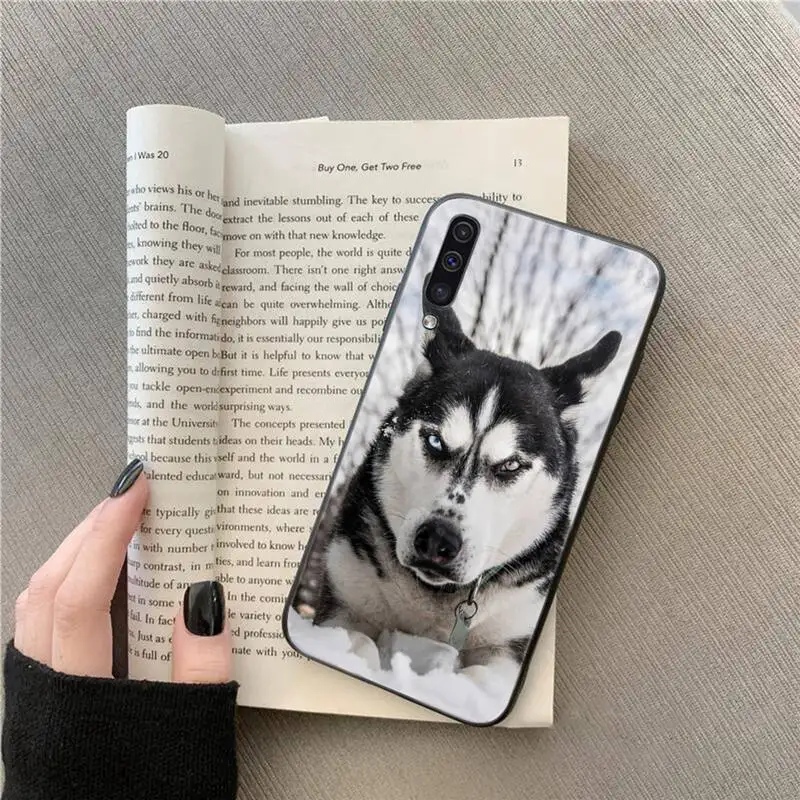 husky cute dog lovely animal Phone Case For Samsung galaxy A S note 10 7 8 9 20 30 31 40 50 51 70 71 21 s ultra plus
husky cute dog lovely animal Phone Case For Samsung galaxy A S note 10 7 8 9 20 30 31 40 50 51 70 71 21 s ultra plus