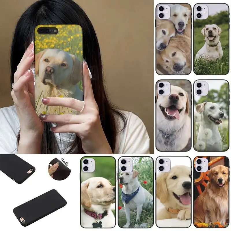 Cute Labrador Dog Phone Case Fundas Shell Cover For HUAWEI P10 P20 P30 P40 Mate 30 40 Lite Pro
Cute Labrador Dog Phone Case Fundas Shell Cover For HUAWEI P10 P20 P30 P40 Mate 30 40 Lite Pro
