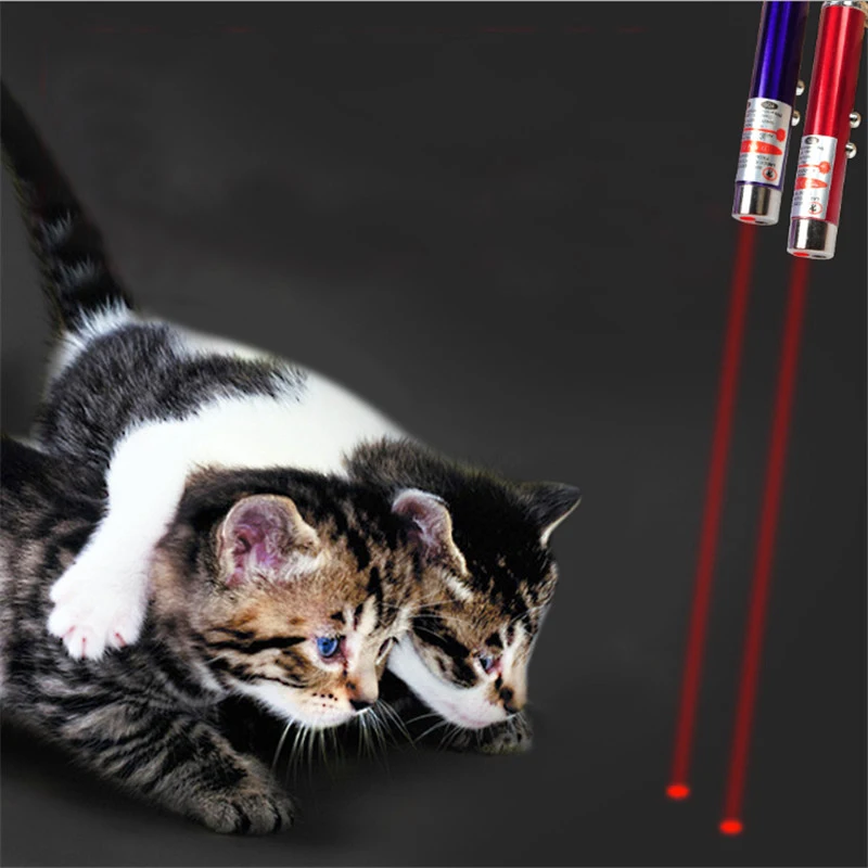 Creative Funny Pet LED Pointer Pen Interactive Toy 5MW Red Dot Laser Light Toy Interactive Toys With Cat Laser Sight Fast Ship
Creative Funny Pet LED Pointer Pen Interactive Toy 5MW Red Dot Laser Light Toy Interactive Toys With Cat Laser Sight Fast Ship