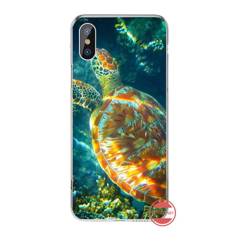 Marine green tortoise Sea turtle animal Phone Case For iphone 12 5 5s 5c se 6 6s 7 8 plus x xs xr 11 pro max
Marine green tortoise Sea turtle animal Phone Case For iphone 12 5 5s 5c se 6 6s 7 8 plus x xs xr 11 pro max