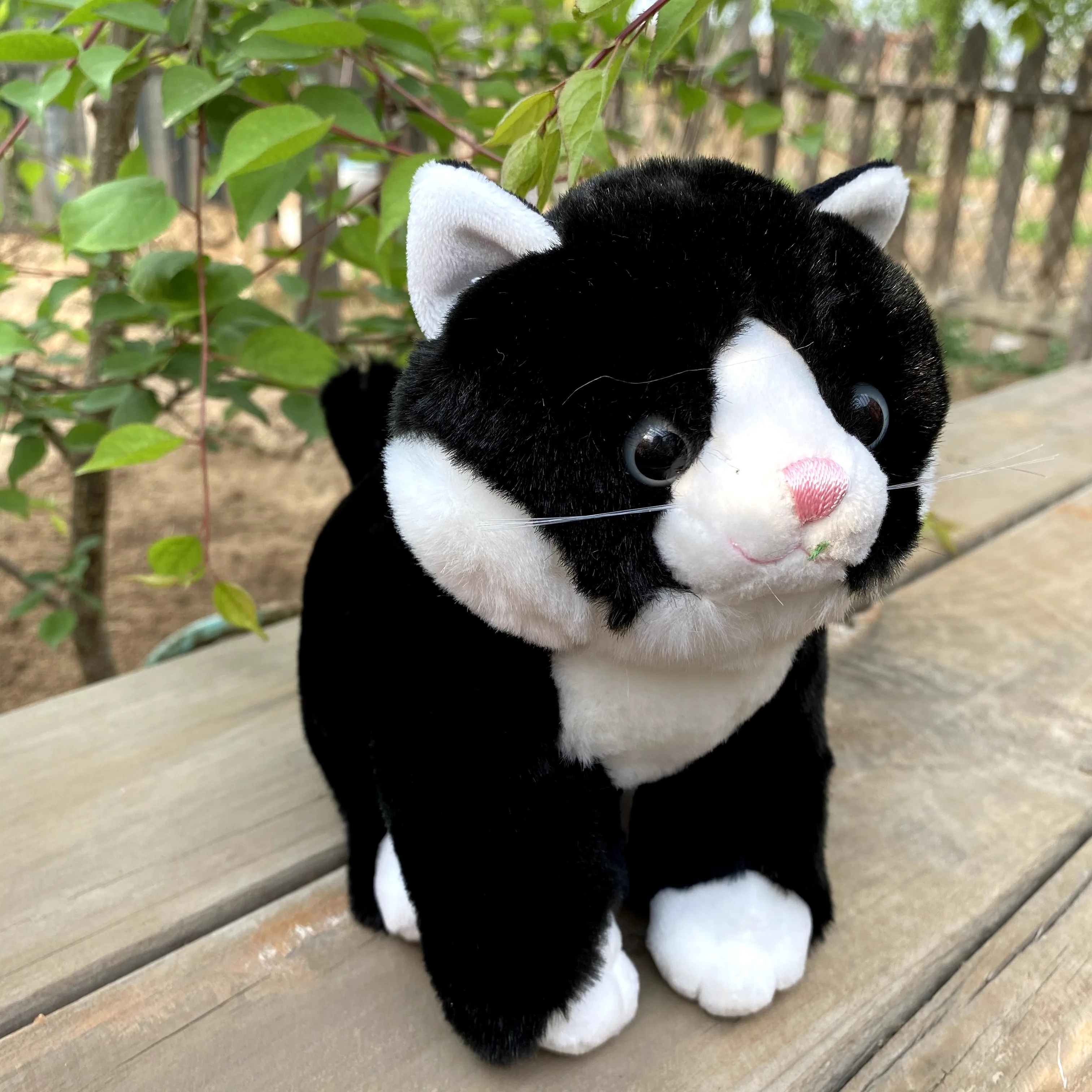 20cm Black Color Cat Stuffed Plush Soft Doll Kitten Animals Toy Girls Baby Kids Birthday Gift
20cm Black Color Cat Stuffed Plush Soft Doll Kitten Animals Toy Girls Baby Kids Birthday Gift
