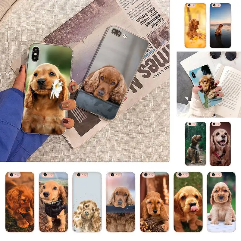 Cocker Spaniels dog Phone Case for iPhone 11 12 13 mini pro XS MAX 8 7 6 6S Plus X 5S SE 2020 XR case 
Cocker Spaniels dog Phone Case for iPhone 11 12 13 mini pro XS MAX 8 7 6 6S Plus X 5S SE 2020 XR case