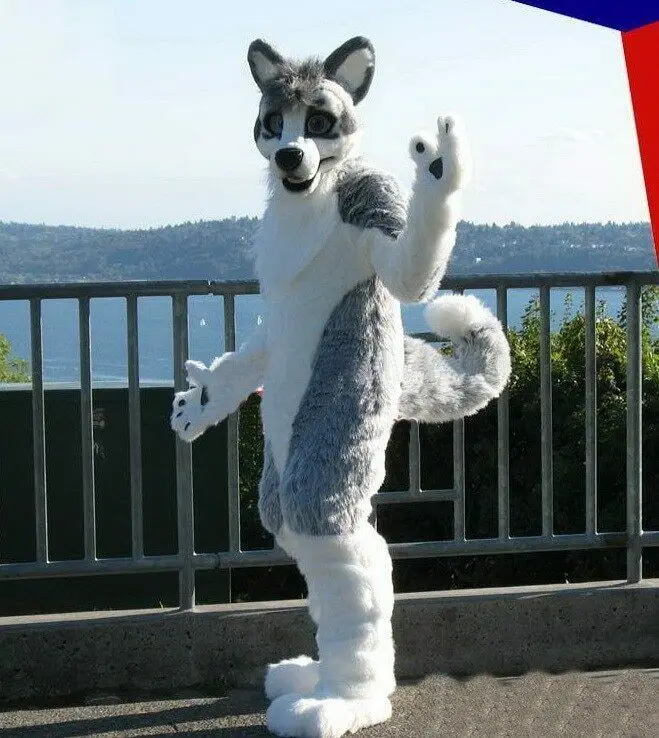 Костюм-талисман хаски волк собака | Тематическая одежда и униформа