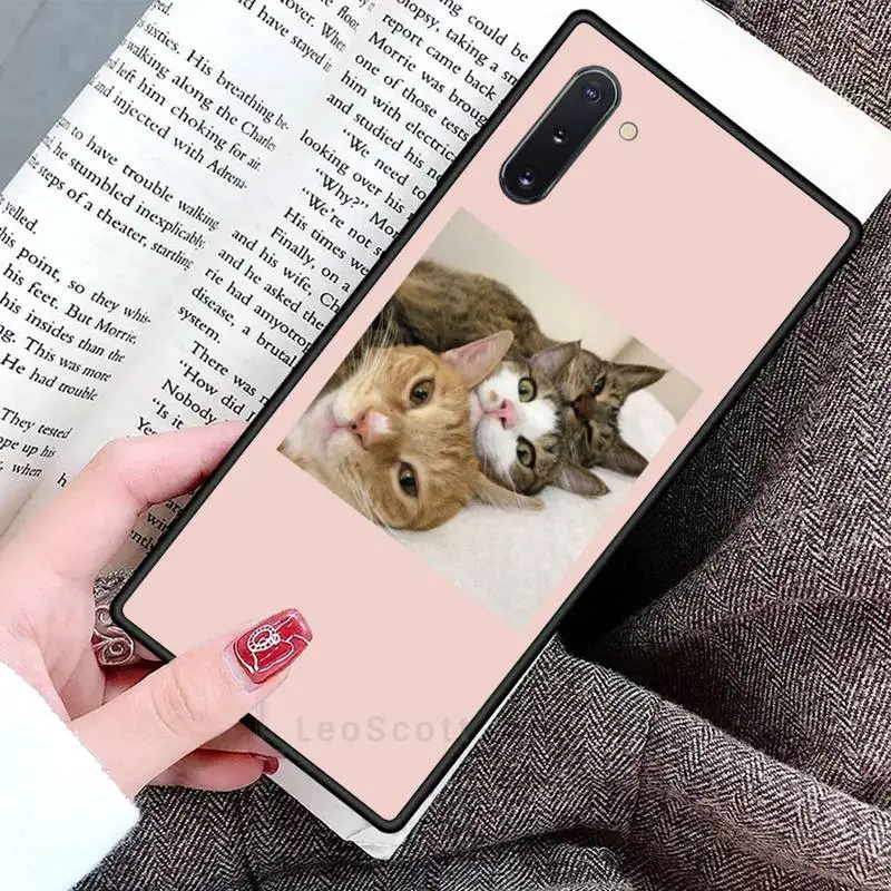 Aesthetic Cute Animal Cat Phone Cases For Samsung Galaxy S8 S9 S10 Plus S10E Note 3 4 5 6 7 8 9 10 Pro Lite cover
Aesthetic Cute Animal Cat Phone Cases For Samsung Galaxy S8 S9 S10 Plus S10E Note 3 4 5 6 7 8 9 10 Pro Lite cover