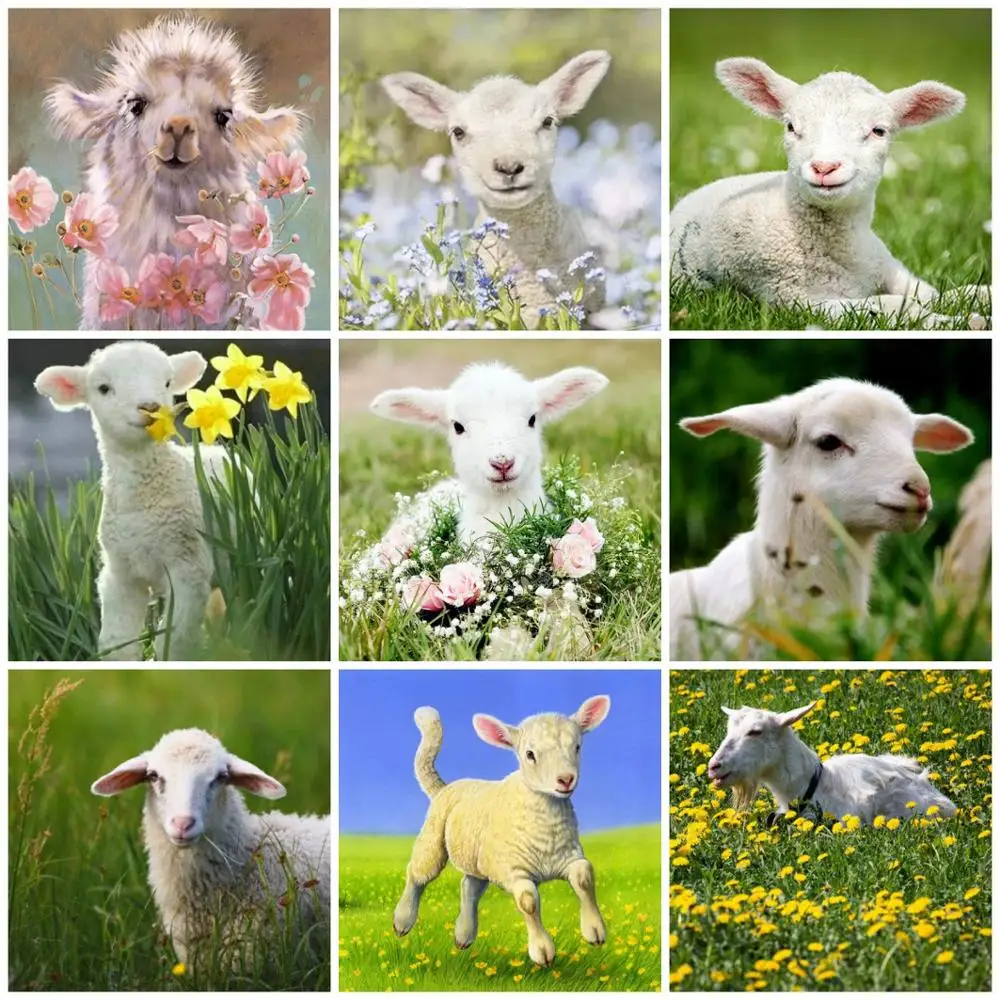 3D Diamond Embroidery Animal Cross Stitch 5D Diy Diamond Painting Full Square Sheep Picture Of Rhinestones Wall Decor Gift Lx913
3D Diamond Embroidery Animal Cross Stitch 5D Diy Diamond Painting Full Square Sheep Picture Of Rhinestones Wall Decor Gift Lx913