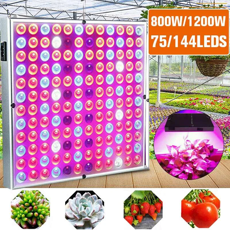 NEW 2000/8000W LED Grow Light Full Spectrum LED Plant Light Fitolampy for Indoor Plants Flowers Cultivation Lamp
NEW 2000/8000W LED Grow Light Full Spectrum LED Plant Light Fitolampy for Indoor Plants Flowers Cultivation Lamp