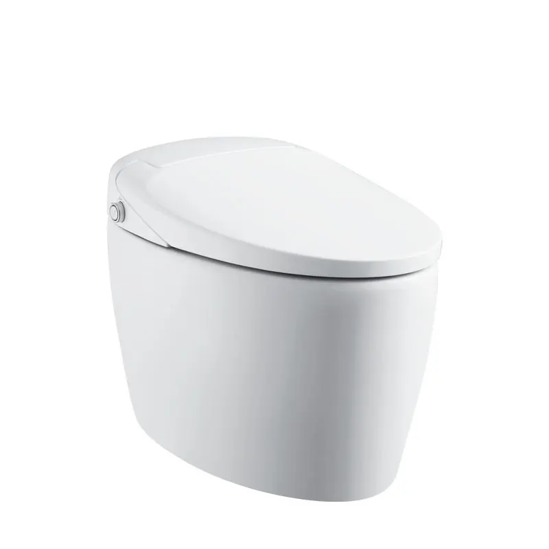 All in one Designer Automatic Bidet Bowl Intelligent Electronic Composting Smart Toilet
All in one Designer Automatic Bidet Bowl Intelligent Electronic Composting Smart Toilet