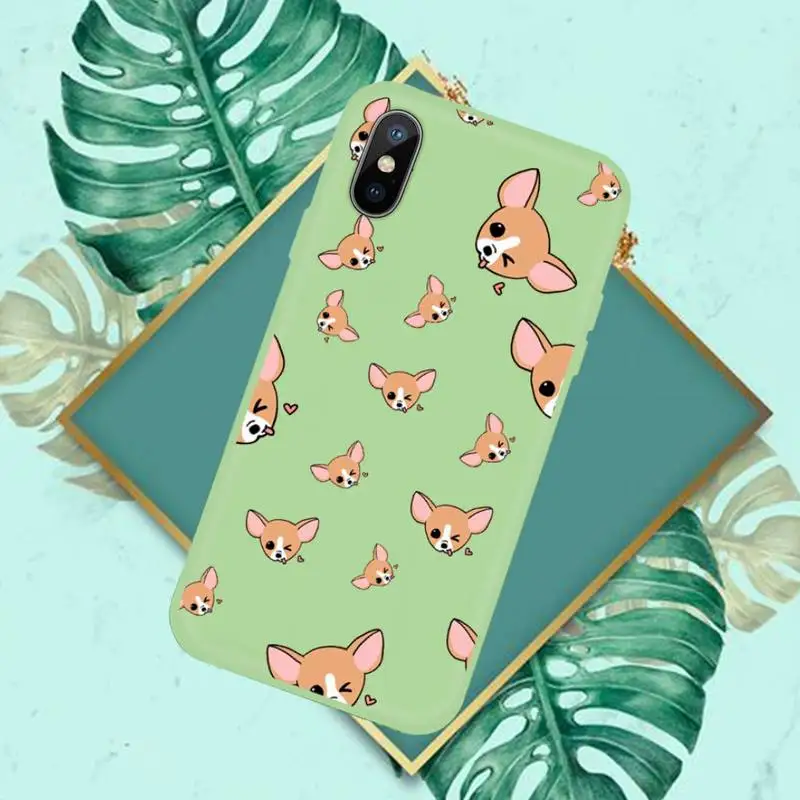 Chihuahua dog Phone Case Candy Color for iPhone 6 7 8 11 12 s mini pro X XS XR MAX Plus
Chihuahua dog Phone Case Candy Color for iPhone 6 7 8 11 12 s mini pro X XS XR MAX Plus
