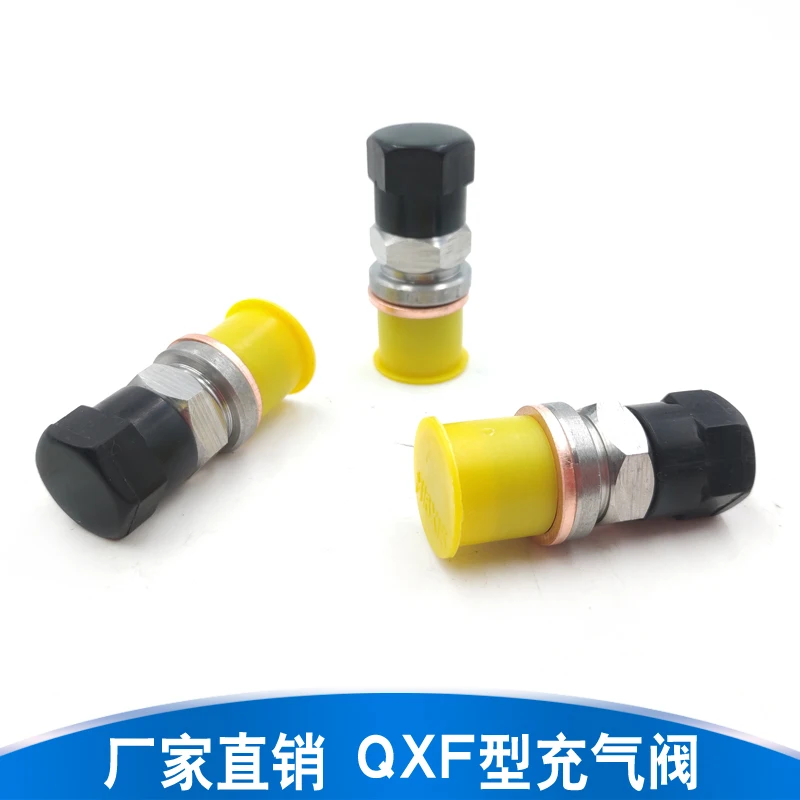 High Quality Qxf-5 Charging Valve Nxq Series Accumulator Charging Nozzle Nitrogen Charging Check Valve
High Quality Qxf-5 Charging Valve Nxq Series Accumulator Charging Nozzle Nitrogen Charging Check Valve