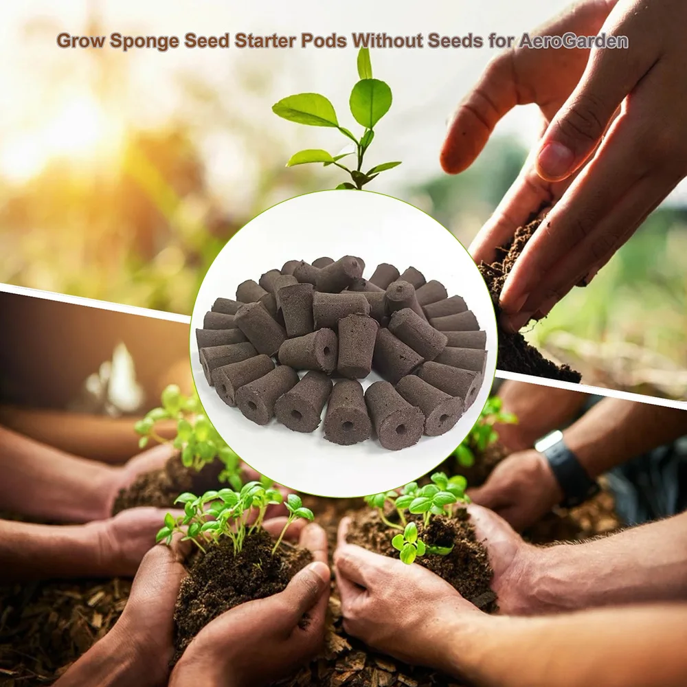 50pcs Planting Sponge Grow Sponge Seed Starter Pods Garden Planting Hydroponic Plug Soil Block Maker Plant Growing Cotton 2022
50pcs Planting Sponge Grow Sponge Seed Starter Pods Garden Planting Hydroponic Plug Soil Block Maker Plant Growing Cotton 2022