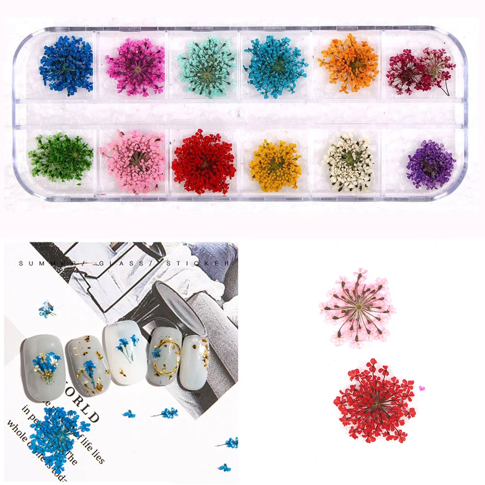 New 12 Colors 3D Decoration Real Dry Dried Flower for Gel Nail Art Tips Natural Petal Dried Dry Flower Tips Manicure Tools
New 12 Colors 3D Decoration Real Dry Dried Flower for Gel Nail Art Tips Natural Petal Dried Dry Flower Tips Manicure Tools