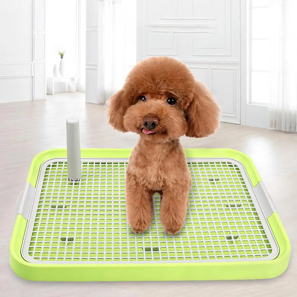 AsyPets Portable Pet Toilet Plastic Urinary Pee Pad with Pillar Mat Training Potty Dog Pad Tray
AsyPets Portable Pet Toilet Plastic Urinary Pee Pad with Pillar Mat Training Potty Dog Pad Tray