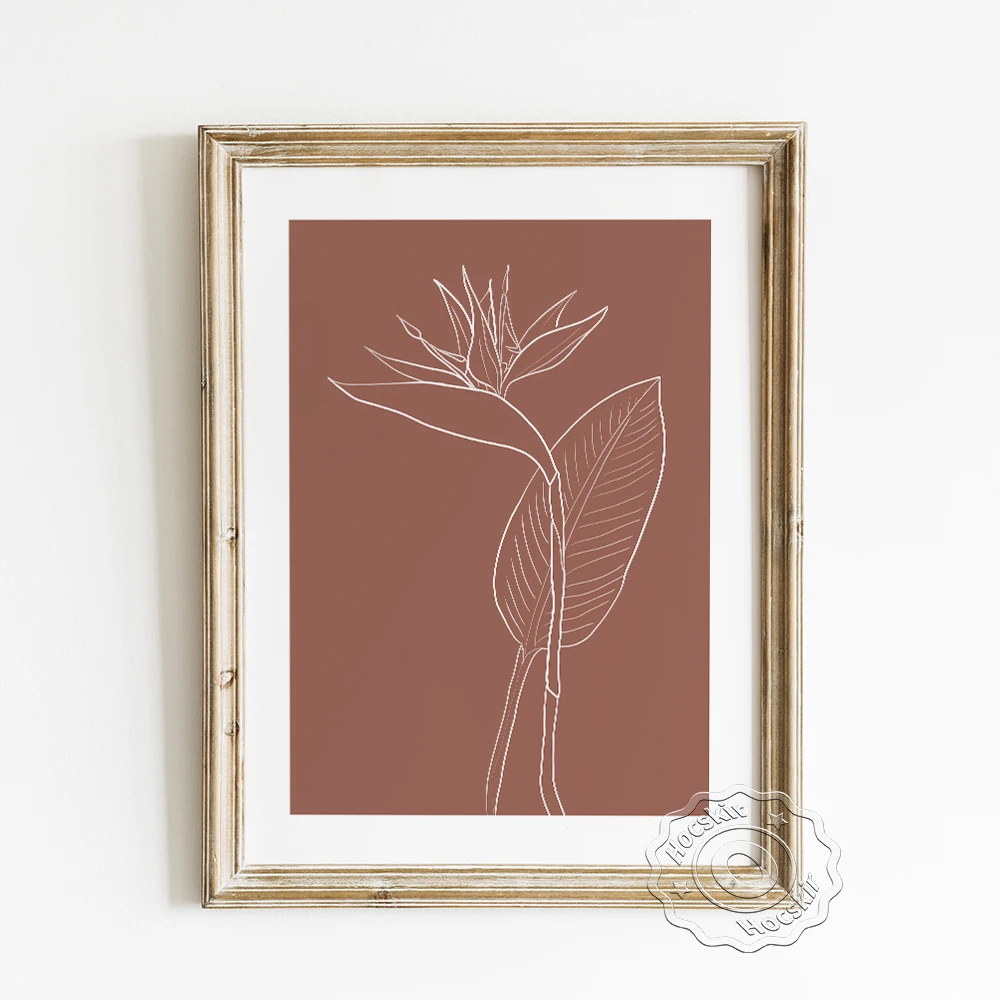 Strelitzia Reginae Fine Line Drawing Poster, Scandinavian Flowers Wall Picture, Simple Sketch Plants Modern Home Decor Prints
Strelitzia Reginae Fine Line Drawing Poster, Scandinavian Flowers Wall Picture, Simple Sketch Plants Modern Home Decor Prints
