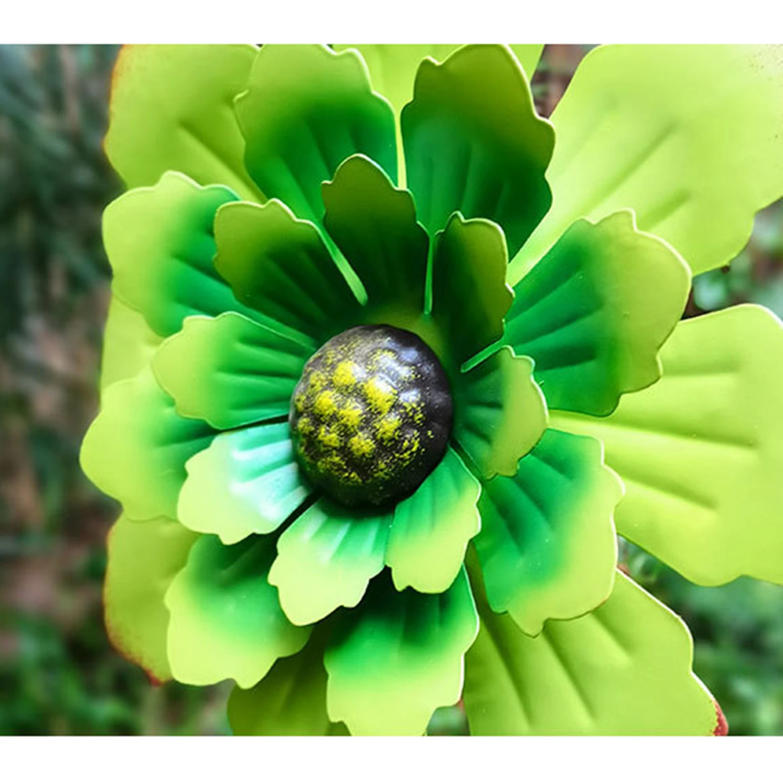 Garden Supplies
Garden Supplies