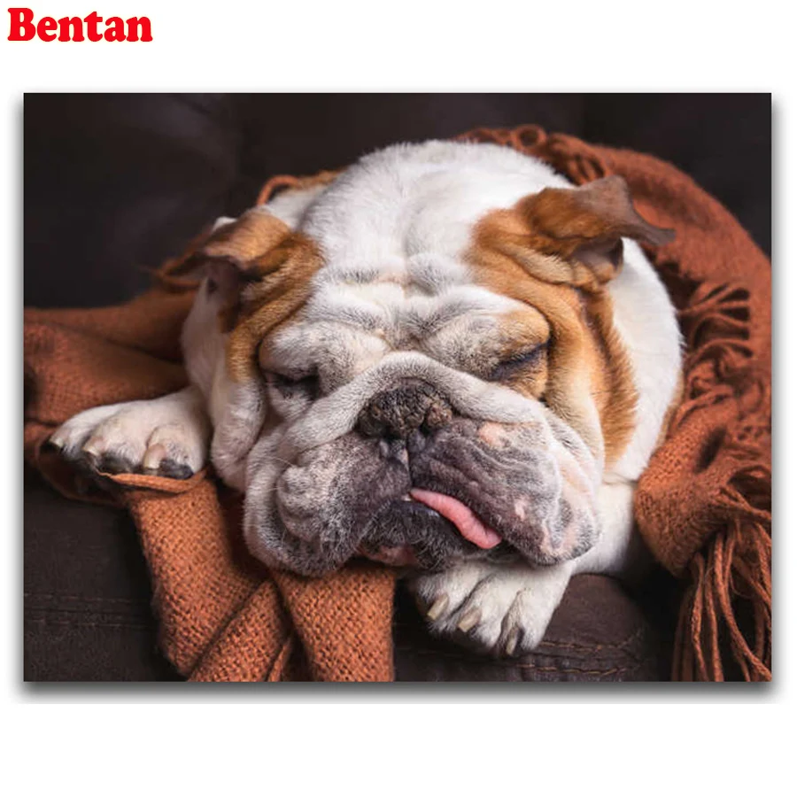 Bentan Diamond Painting Full Square Shar Pei Diamond Embroidery Painting Rhinestones Needlework DIY Crafts Diamond Mosaic Sale
Bentan Diamond Painting Full Square Shar Pei Diamond Embroidery Painting Rhinestones Needlework DIY Crafts Diamond Mosaic Sale