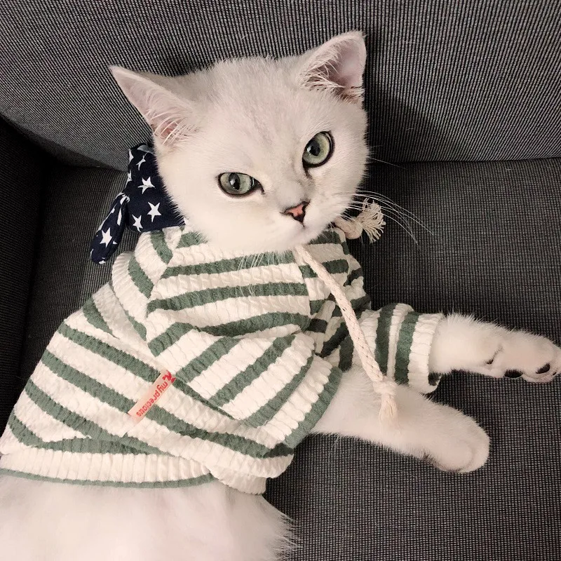 Fashion Dog Clothes Sweater Puppy Kitten Cute Dog Hoodie Small Dogs Breathable Knitted Fabric Cat Clothing For Chihuahua Bichon 
Fashion Dog Clothes Sweater Puppy Kitten Cute Dog Hoodie Small Dogs Breathable Knitted Fabric Cat Clothing For Chihuahua Bichon