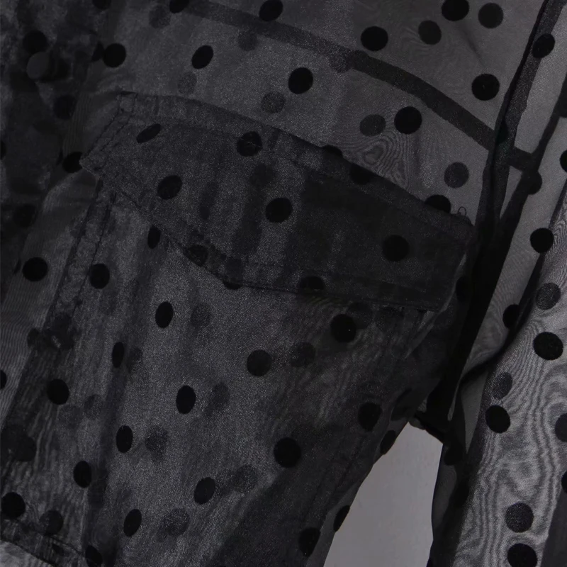 2020 Spring Summer Sheer Organza polka dot Blouse shirt Women Sexy Long sleeve Loose With belt Ladies Tops Black YNZZU YT829
2020 Spring Summer Sheer Organza polka dot Blouse shirt Women Sexy Long sleeve Loose With belt Ladies Tops Black YNZZU YT829