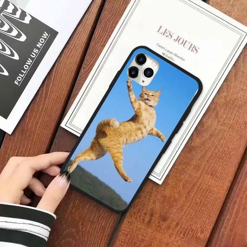 Funny Kitten Cat cute animal Phone Case for iPhone 11 12 pro XS MAX 8 7 6 6S Plus X 5S SE 2020 XR
Funny Kitten Cat cute animal Phone Case for iPhone 11 12 pro XS MAX 8 7 6 6S Plus X 5S SE 2020 XR