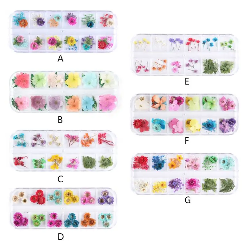12 Grid Crystal Filler Dry Flower Handmade Flowers Craft Silicone Molds UV Epoxy Resin Filling Material Decoration Accessories
12 Grid Crystal Filler Dry Flower Handmade Flowers Craft Silicone Molds UV Epoxy Resin Filling Material Decoration Accessories