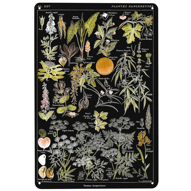 Dangerous plants printed Metal Signs Retro Tin Signs Funny Poster Decor for Bar Pub Club Decoration for Living Room Home
Dangerous plants printed Metal Signs Retro Tin Signs Funny Poster Decor for Bar Pub Club Decoration for Living Room Home