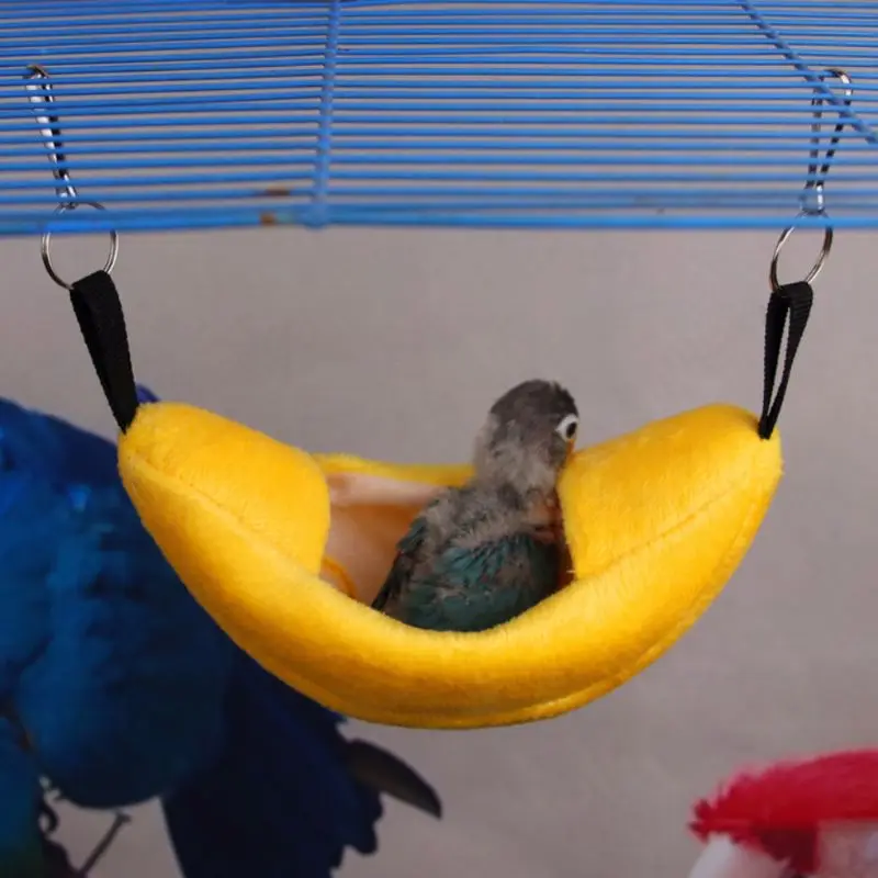 Small Pet House Cute Cotton Boat Shape Parrot Rat Hammock Hanging Beds Hamster Squirrel Nest
Small Pet House Cute Cotton Boat Shape Parrot Rat Hammock Hanging Beds Hamster Squirrel Nest