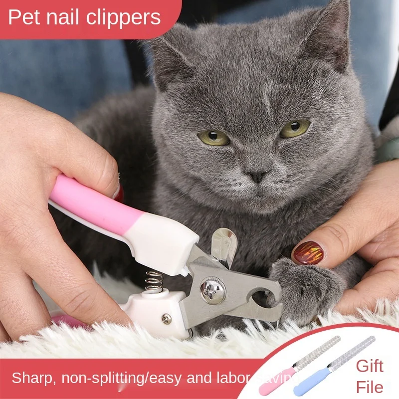 Cat nail clippers Teddy dog special nail clippers stainless steel pet nail scissors nail sharpener set to send files
Cat nail clippers Teddy dog special nail clippers stainless steel pet nail scissors nail sharpener set to send files
