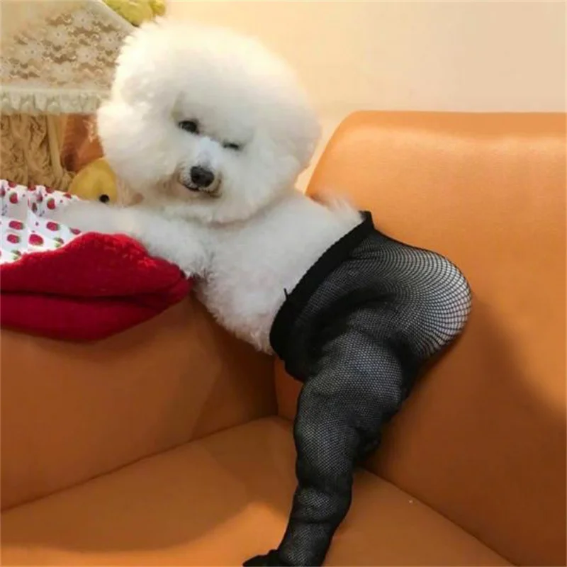 Pet Mesh Socks Elastic Fun Creative Pets Stockings Photo Props Dog Stocking
Pet Mesh Socks Elastic Fun Creative Pets Stockings Photo Props Dog Stocking