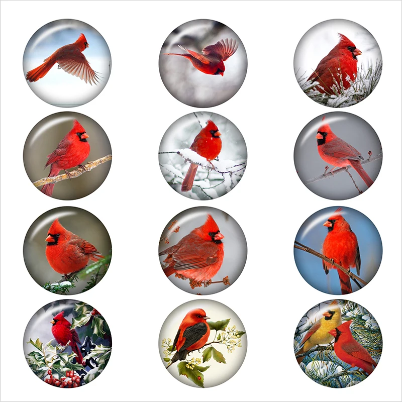 Фотообои Cardinal christmas bird с круглыми фотографиями фурнитура для изготовления