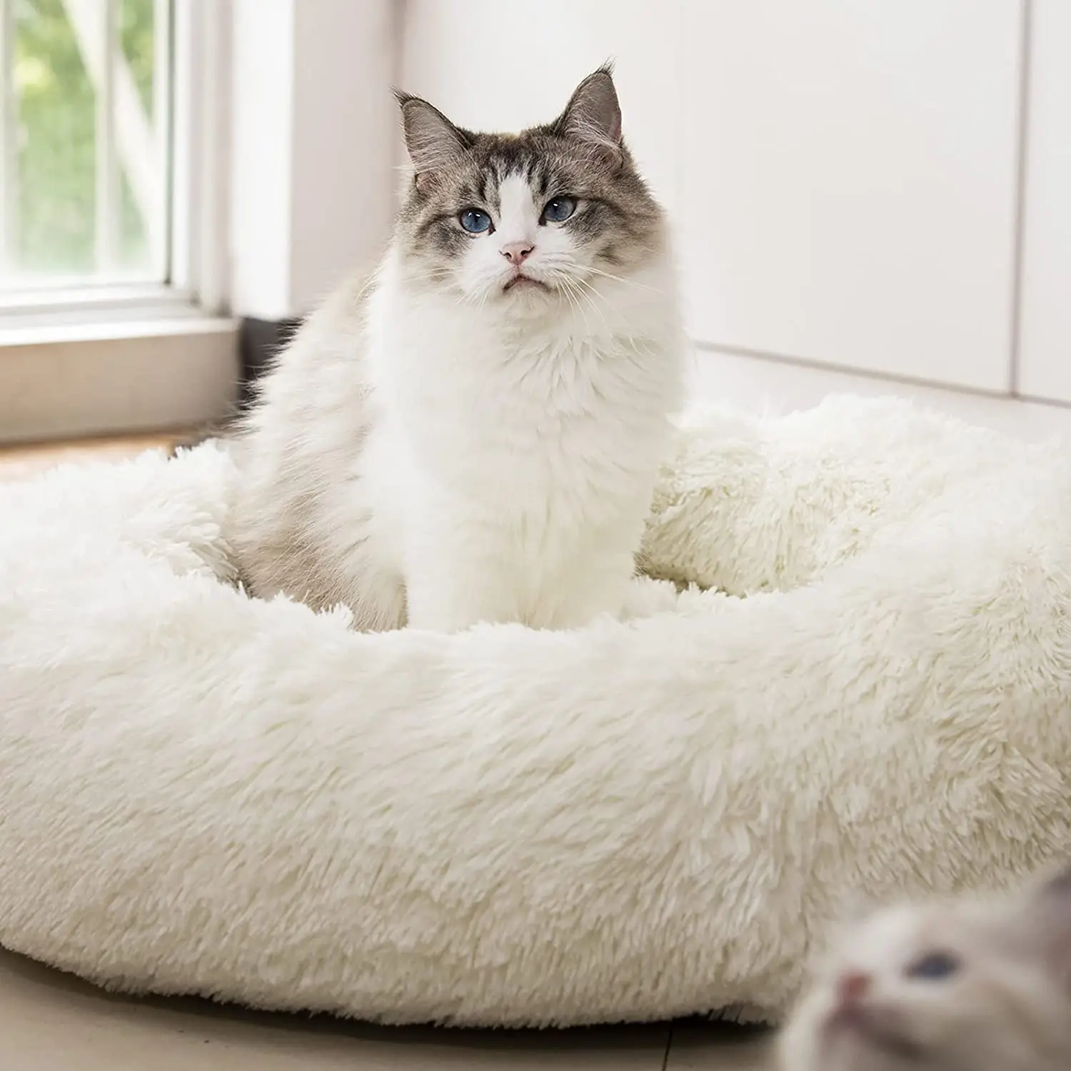 Newly Round Cat Bed House Soft Long Plush Pet Dog Bed Products Cushion Cat Mat Animals Sleeping Sofa
Newly Round Cat Bed House Soft Long Plush Pet Dog Bed Products Cushion Cat Mat Animals Sleeping Sofa
