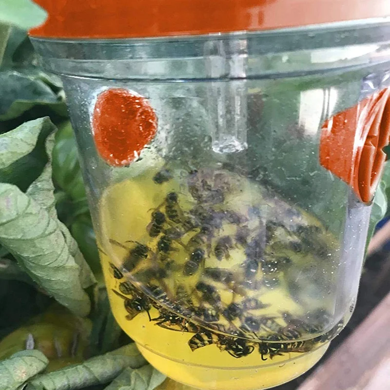 2 Pack Solar Powered Wasp Trap with UV LED Light Bee Traps,Yellow Jacket Traps&Wasp Traps for Outdoors,Wasp Killer-Effective and 
2 Pack Solar Powered Wasp Trap with UV LED Light Bee Traps,Yellow Jacket Traps&Wasp Traps for Outdoors,Wasp Killer-Effective and