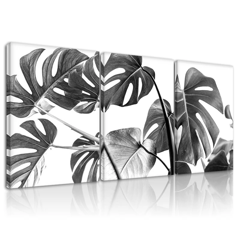 Monstera Leaf Nordic Canvas Picture Framed Wall Art Black White Decoration Painting Tropical Monstera Home Poster Botanical Set
Monstera Leaf Nordic Canvas Picture Framed Wall Art Black White Decoration Painting Tropical Monstera Home Poster Botanical Set