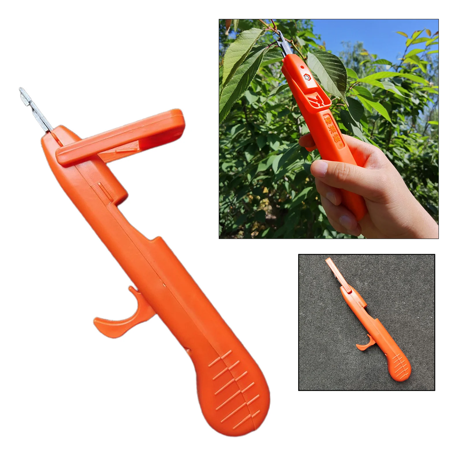 Household Small Fruit Picking Pepper Branch Scissors, Vegetable Pruner Shears Gardening Pruning Tools Portable
Household Small Fruit Picking Pepper Branch Scissors, Vegetable Pruner Shears Gardening Pruning Tools Portable