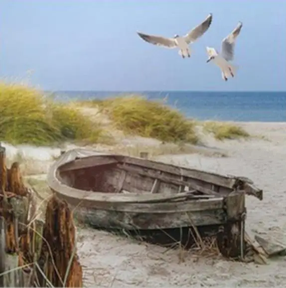 5D DIY full Square drill Diamond drawing Cross stitch Boat &seagulls Rhinestone Diamond embroidery Mosaic home decor
5D DIY full Square drill Diamond drawing Cross stitch Boat &seagulls Rhinestone Diamond embroidery Mosaic home decor