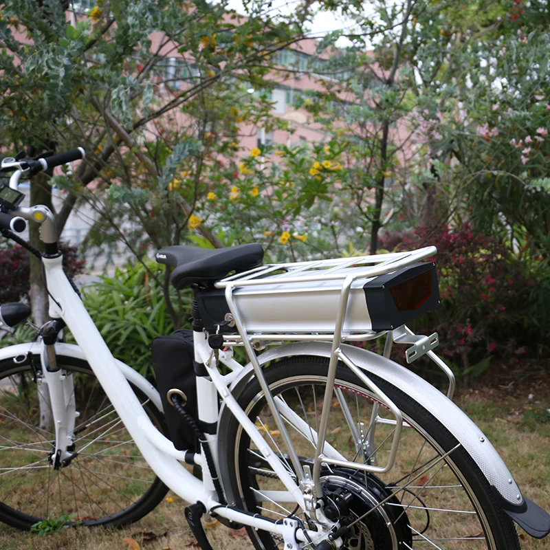 Electric Bike Batteries 48V 20Ah Rear Rack Li-ion Ebike Battery with Double Luggage Hanger for Max 1000W Electric Bicycle Motor
Electric Bike Batteries 48V 20Ah Rear Rack Li-ion Ebike Battery with Double Luggage Hanger for Max 1000W Electric Bicycle Motor