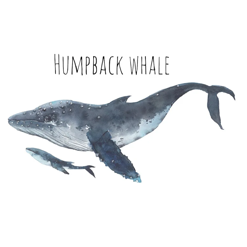 Creative Hand Painted Wall Stickers for Kids Rooms Teen Bedroom Decor Whale Stickers Home Decor Living Room 3d Art Wallpaper
Creative Hand Painted Wall Stickers for Kids Rooms Teen Bedroom Decor Whale Stickers Home Decor Living Room 3d Art Wallpaper